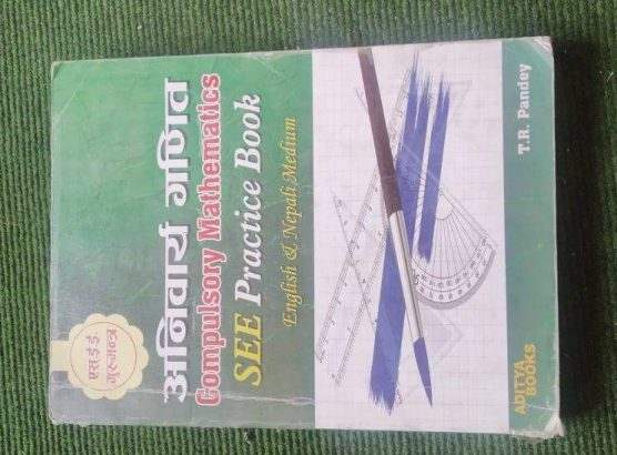 C.Maths practice Book for Class 10