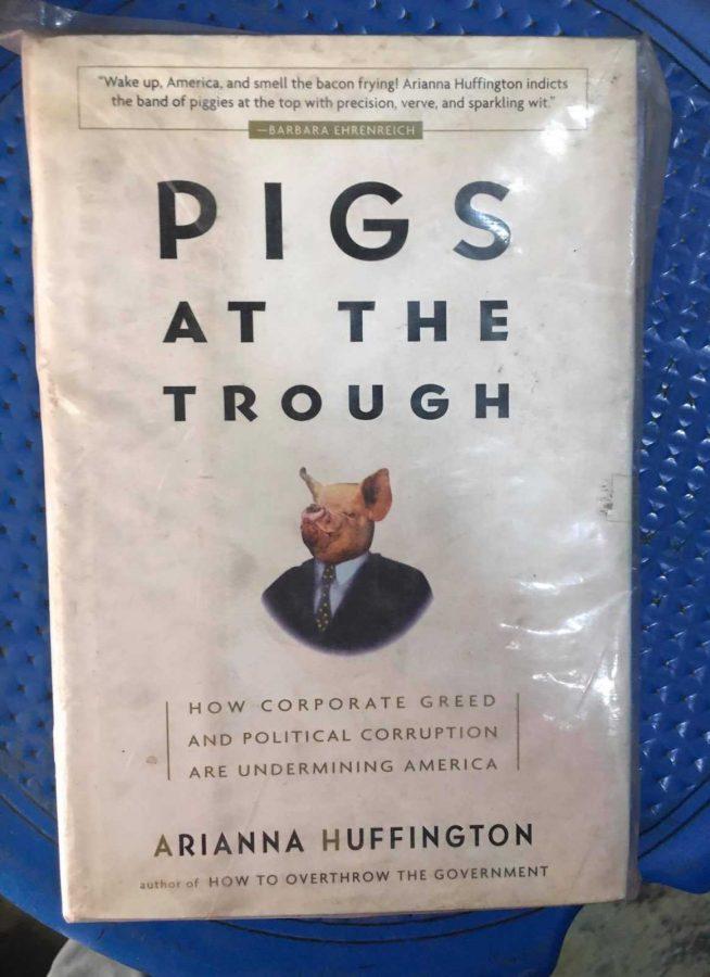pigs at the trough