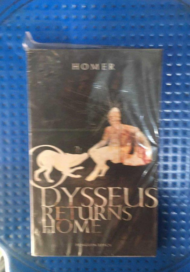 Dysseus Returns Home
