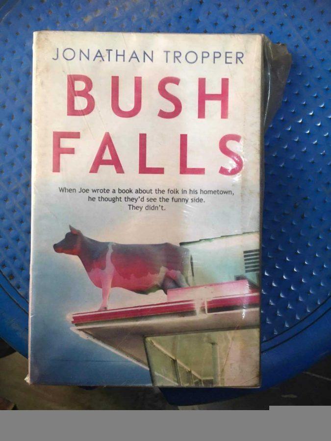 BUSH FALLS