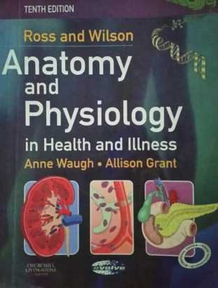 Anatomy and physiology