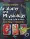 Anatomy and physiology