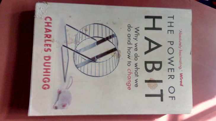 The power of habit
